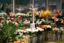 Artificial Flowers for Rent Elegant and Affordable Event Solutions