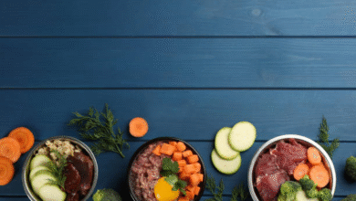 Beef Liver Cat Treats: A Simple, Healthy Recipe Your Cat Will Love 