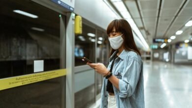 online development platform services