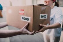 professional online support services