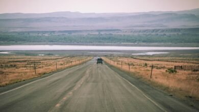 traffic expansion lead generation